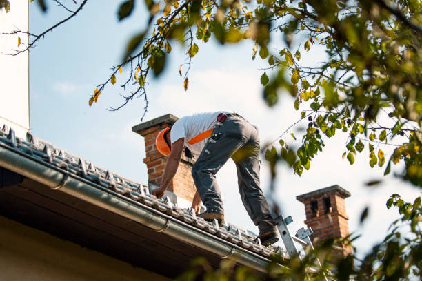 Best Best Roofing Contractors  in Rensselaer, IN
