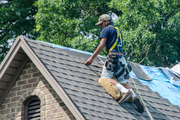 Best Roof Gutter Cleaning  in Rensselaer, IN